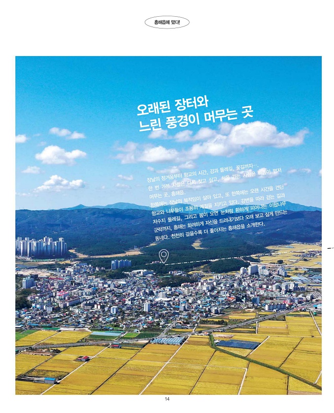 14페이지