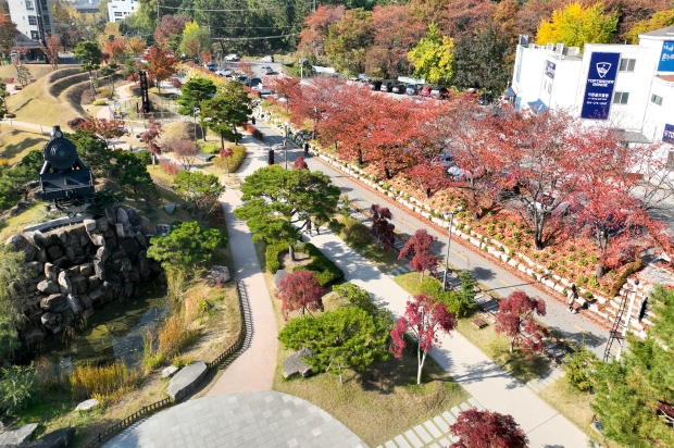 철길숲&불의 정원 사진8