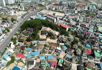 흥해향교 이팝나무 군락에 대한 관광정보입니다.