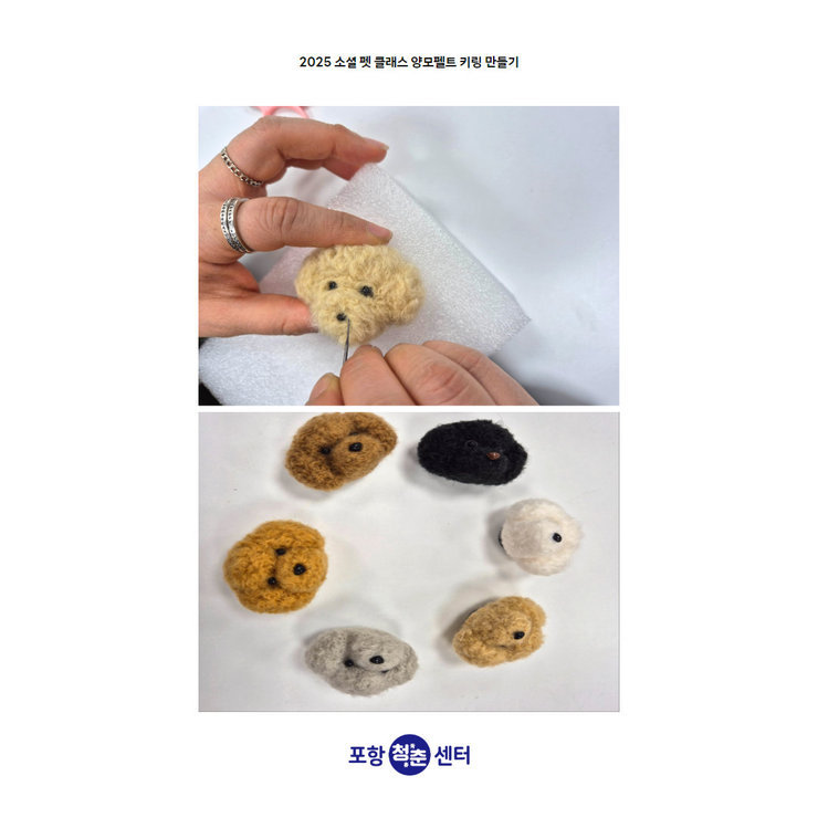 양모펠트 2