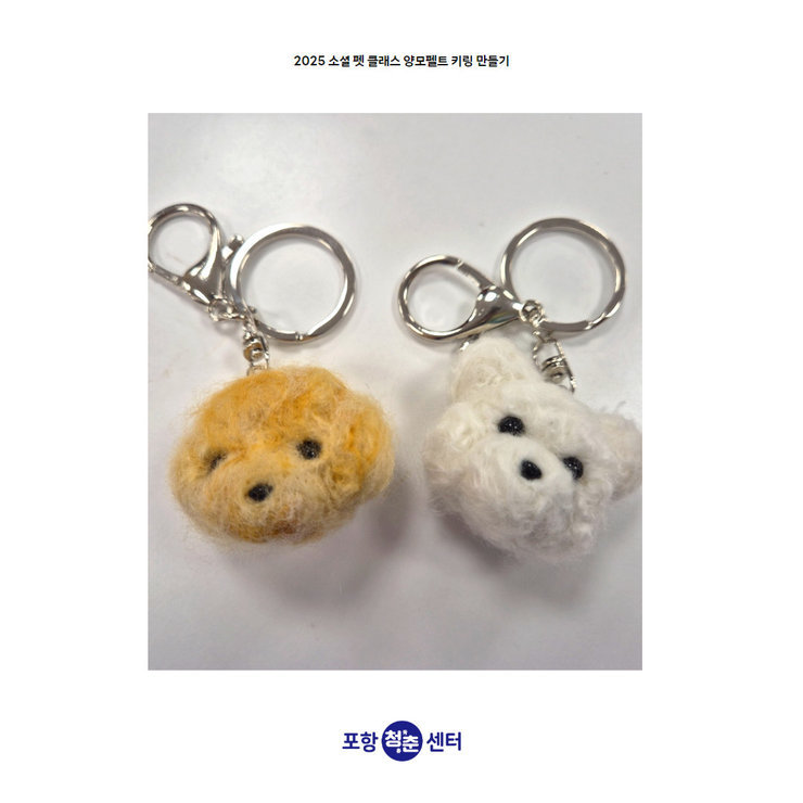 양모펠트 3
