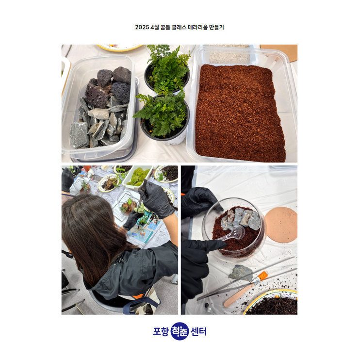테라리움 1